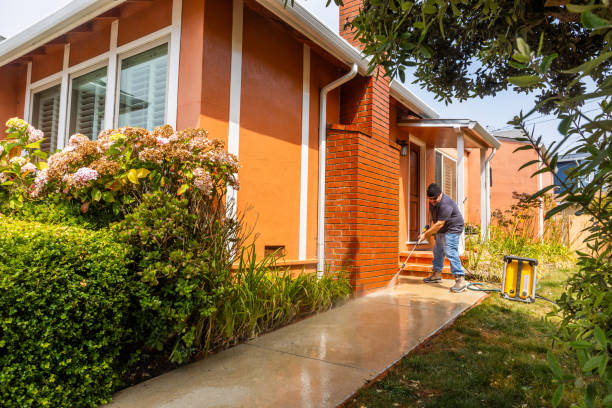 Best Concrete Pressure Washing  in Panama, OK